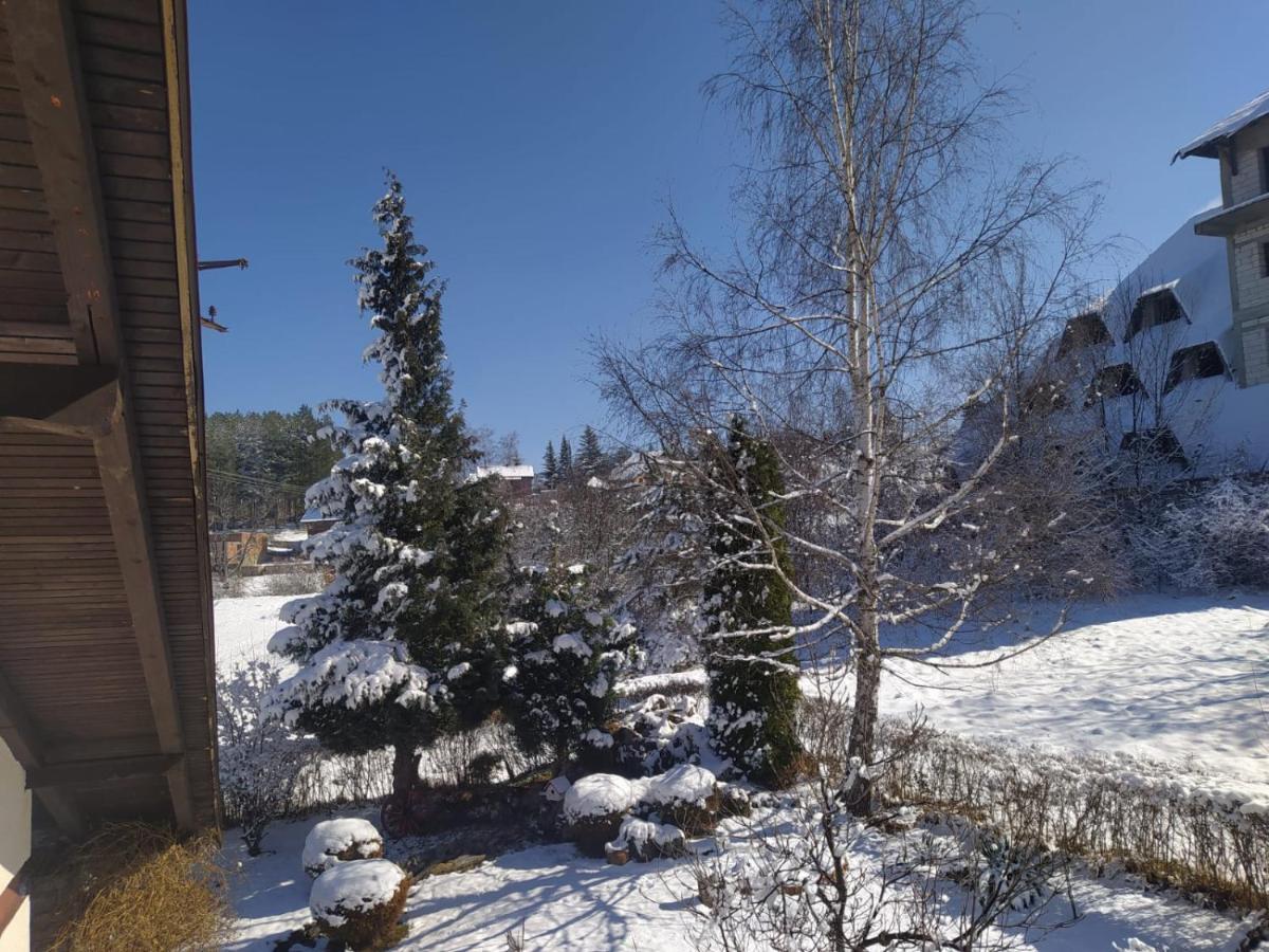 Apartmani Milic Sirogojno エクステリア 写真