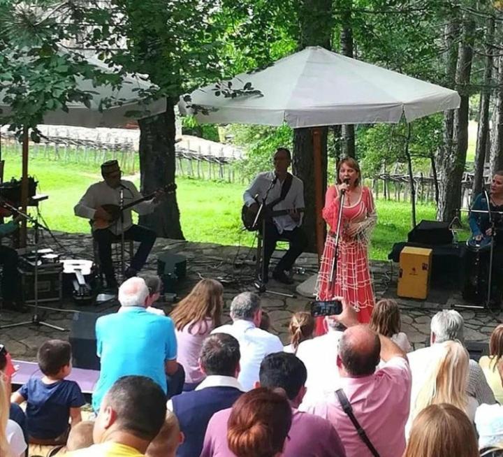 Apartmani Milic Sirogojno エクステリア 写真
