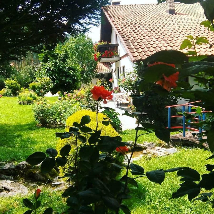 Apartmani Milic Sirogojno エクステリア 写真