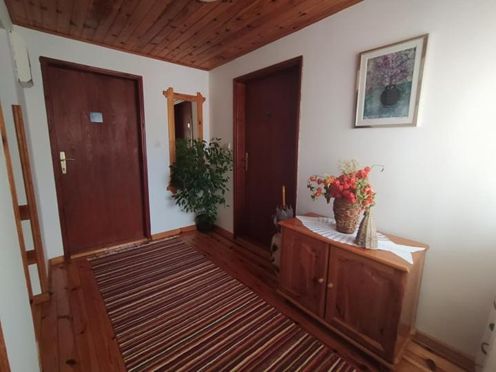 Apartmani Milic Sirogojno エクステリア 写真